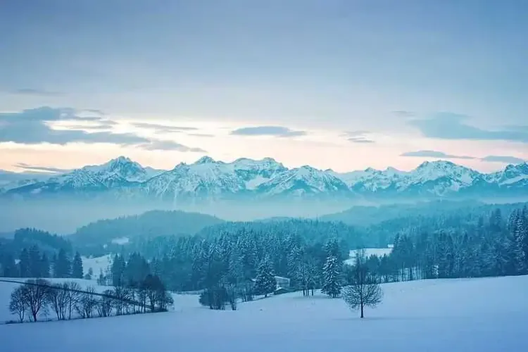 Wangen im Allgäu